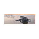 Hunting Island Baby Sea Turtle | Real Wood Art Print