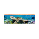 Hunting Island Sea Turtle | Real Wood Art Print
