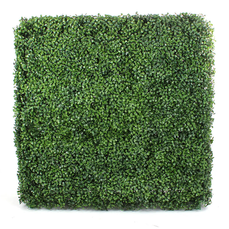 Square Boxwood Hedge Wall