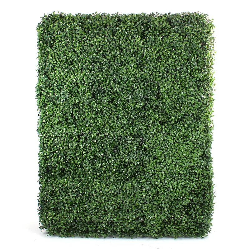 Rectangle Boxwood Hedge Wall