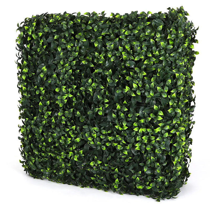 Square Gardenia Hedge Wall