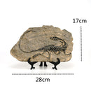 DecorBites™ Dinosaur Fossil Figurine: Retro Resin Animal Statue for Home Décor & Gifts