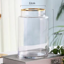 DecorBites™ Gold Glass Vase Hydroponic Plant Flowers Living Room Dining Table Decor