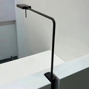 Halyn Wall Light