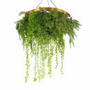 Imitation Gold Artificial Hanging Green Wall Disc Draping Plant Arrangement 32in – Limited Edition – UV Resistant