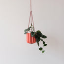Wrap Hanging Kit