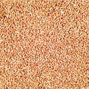 Organic Hard Red Winter Wheat | 2 lb | Pack of 2 | Non-GMO | Shipping Included | Grain Place Foods