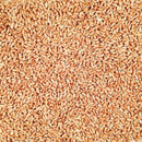 Organic Hard White Winter Wheat | 25 lb | Pack of 2 | Non-GMO | Shipping Included | Grain Place Foods