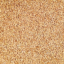 Organic White Winter Wheat | 2 lb | Non-GMO | Grain Place Foods