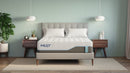 Harmony Chill 3.0 plush by MLILY