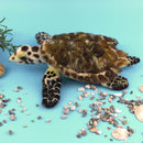 Felting Kit - Hawksbill Turtle Needle Felt Kit
