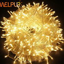 DecorBites™ LED Fairy Strings Light 220V Outdoor Waterproof Garland for Christmas Party Wedding Birthday