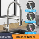 DecorBites™ LED Kitchen Faucet with Dual Spouts and Single Handle