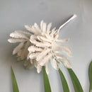 DecorBites™ Artificial Eucalyptus Leaf Bunch for Home Christmas Wedding Decor - 6-Pack