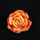DecorBites™ 30PCS Silk Roses Wedding Decor DIY Home Decoration, Brooch Gifts, Candy Box