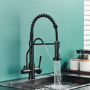 DecorBites™ Black Dual Handle Kitchen Faucet with Water Purification Feature, 360° Rotation
