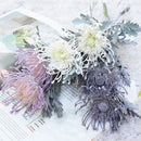 DecorBites™ Artificial Crab Claw Branch for Home Wedding Decoration