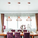 DecorBites™ Industrial Pendant Lights E27 LED Hanging Lamp Modern Loft Lighting for Home