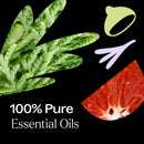 Headless Horseman Essential Oil Blend 10 mL