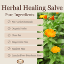 Healing Salve Made with Calendula and Plantain,Unscented