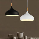 DecorBites™ Industrial Metal Pendant Ceiling Light Fixture for Modern Retro Kitchen Loft