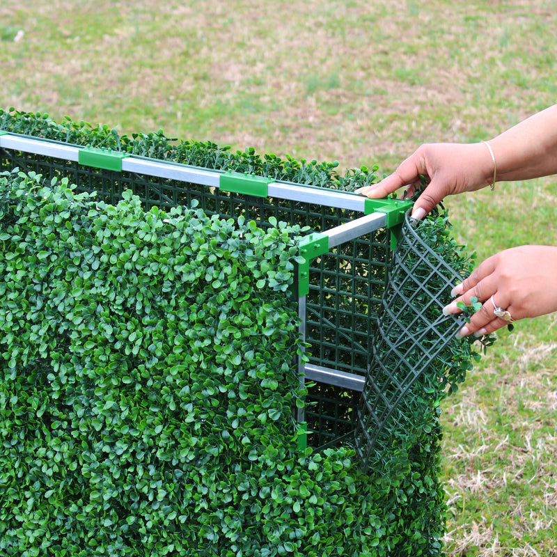 Square Boxwood Hedge Wall