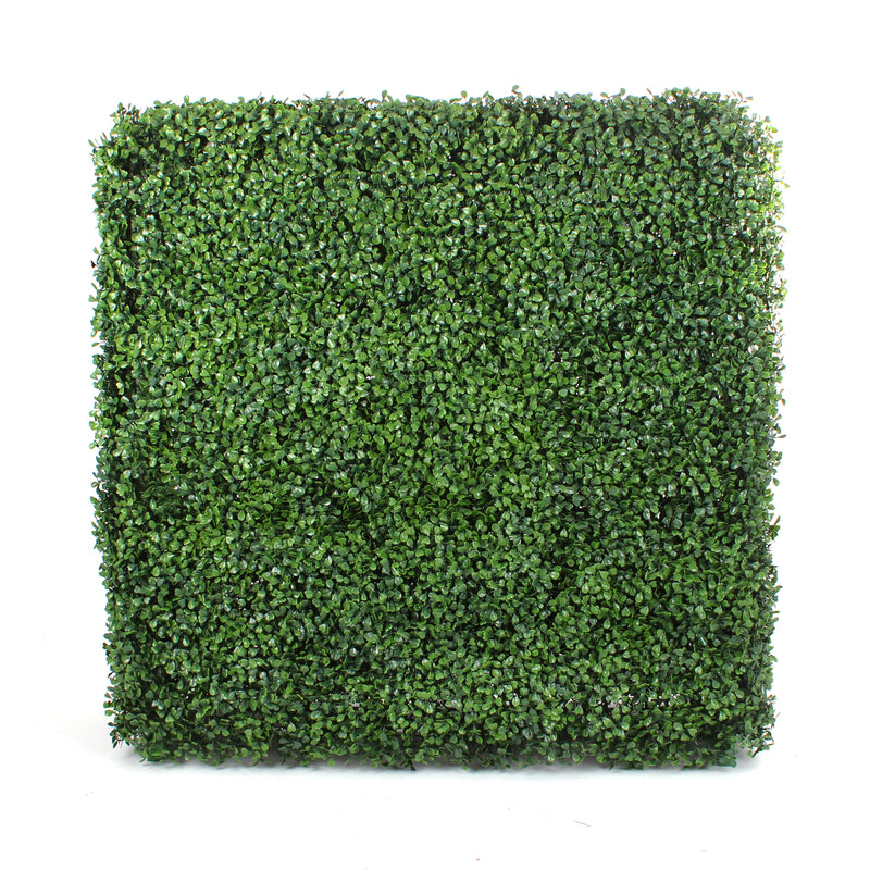 Square Boxwood Hedge Wall