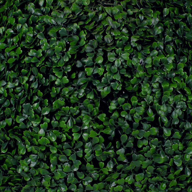 Rectangle Boxwood Hedge Wall