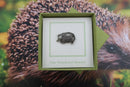Hedgehog Lapel Pin