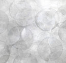 Helichrysum - Limited Edition Canvas Print