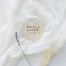 Hello World I'm Here with Stars Newborn Baby Announcement Sign