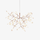 Heracleum Chandelier