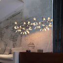 Heracleum Chandelier
