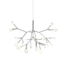 Heracleum Chandelier