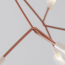 Heracleum Chandelier