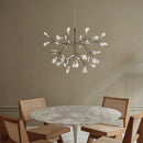 Heracleum Chandelier