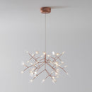 Heracleum Chandelier