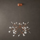 Heracleum Chandelier