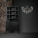 Heracleum Chandelier