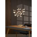 Heracleum Chandelier