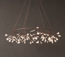 Heracleum Chandelier