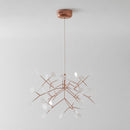 Heracleum Chandelier
