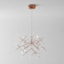 Heracleum Chandelier