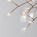 Heracleum Chandelier
