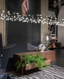 Heracleum Chandelier