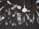 Heracleum Chandelier
