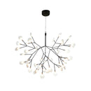Heracleum Chandelier