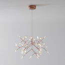 Heracleum Chandelier