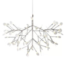 Heracleum Chandelier