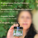 Healing Salve Made with Calendula and Plantain,Unscented